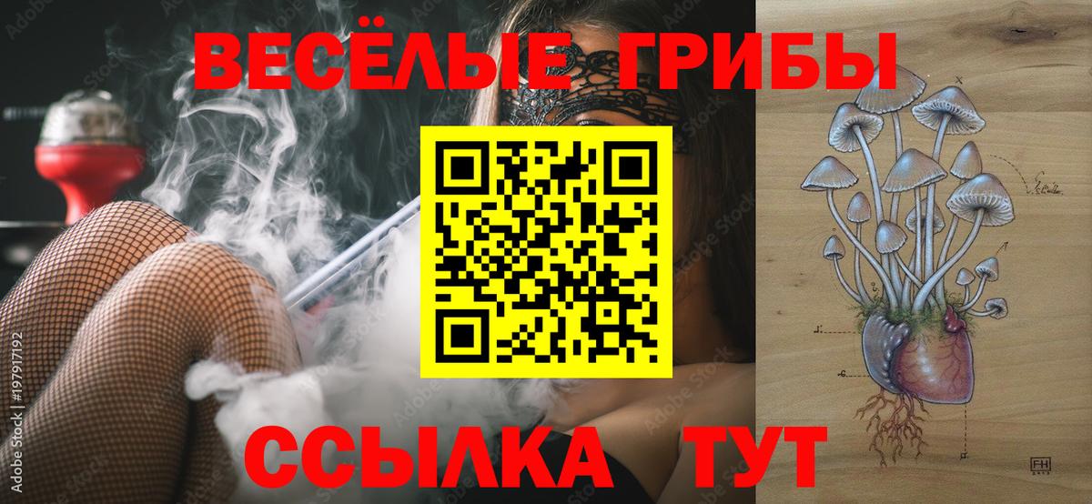 Галлюциногенные грибы MAGIC MUSHROOMS  дарнет шоп  Златоуст  Вход с VPN 